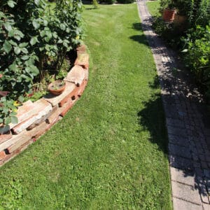 RASENKANTE GERADE 1 Meter